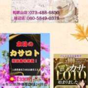 ヒメ日記 2026/09/15 10:08 投稿 鈴谷ゆうり 五十路マダム　和歌山店