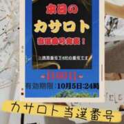 ヒメ日記 2026/09/22 14:14 投稿 鈴谷ゆうり 五十路マダム　和歌山店