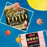 ヒメ日記 2026/09/24 15:30 投稿 鈴谷ゆうり 五十路マダム　和歌山店