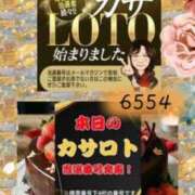 ヒメ日記 2026/09/26 15:08 投稿 鈴谷ゆうり 五十路マダム　和歌山店