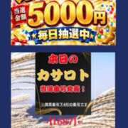 ヒメ日記 2026/10/12 09:52 投稿 鈴谷ゆうり 五十路マダム　和歌山店