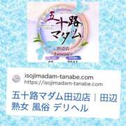 ヒメ日記 2026/10/15 12:52 投稿 鈴谷ゆうり 五十路マダム　和歌山店