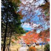 ヒメ日記 2024/12/20 23:46 投稿 はる 完熟ばなな 横浜