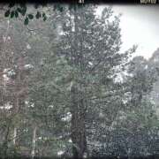 ヒメ日記 2025/01/05 19:34 投稿 はる 完熟ばなな 横浜