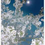 ヒメ日記 2025/04/09 20:46 投稿 はる 完熟ばなな 横浜