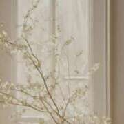 ヒメ日記 2025/04/29 15:21 投稿 かのん 大宮おかあさん