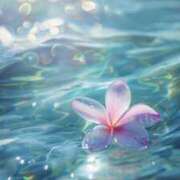 ヒメ日記 2025/05/15 16:02 投稿 かのん 大宮おかあさん