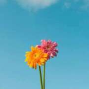 ヒメ日記 2025/06/01 02:41 投稿 かのん 大宮おかあさん