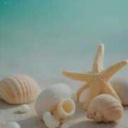 ヒメ日記 2025/06/13 17:21 投稿 かのん 大宮おかあさん