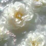 ヒメ日記 2026/01/21 17:26 投稿 かのん 大宮おかあさん