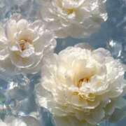 ヒメ日記 2026/01/25 15:36 投稿 かのん 大宮おかあさん