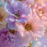 ヒメ日記 2026/02/22 18:06 投稿 かのん 大宮おかあさん