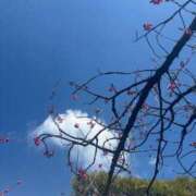 ヒメ日記 2025/03/09 14:44 投稿 しのん One More奥様　蒲田店