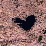 ヒメ日記 2025/04/02 18:06 投稿 しのん One More奥様　蒲田店