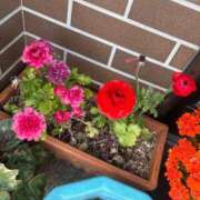 ヒメ日記 2025/04/05 17:14 投稿 しのん One More奥様　蒲田店