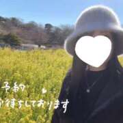 ヒメ日記 2025/05/01 21:33 投稿 しのん One More奥様　蒲田店