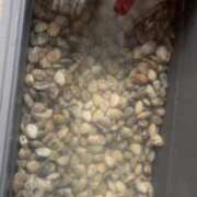 ヒメ日記 2025/05/04 10:44 投稿 しのん One More奥様　蒲田店