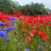 ヒメ日記 2025/05/16 20:44 投稿 しのん One More奥様　蒲田店