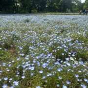 ヒメ日記 2025/05/17 21:04 投稿 しのん One More奥様　蒲田店