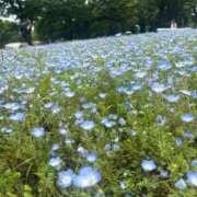 ヒメ日記 2025/05/19 09:44 投稿 しのん One More奥様　蒲田店