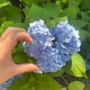 ヒメ日記 2025/06/22 18:13 投稿 しのん One More奥様　蒲田店