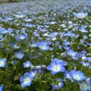 ヒメ日記 2025/06/25 18:04 投稿 しのん One More奥様　蒲田店