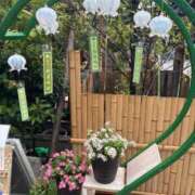 ヒメ日記 2025/07/14 22:24 投稿 しのん One More奥様　蒲田店