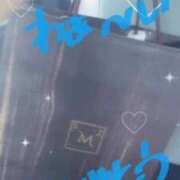 ヒメ日記 2025/08/12 13:04 投稿 しのん One More奥様　蒲田店