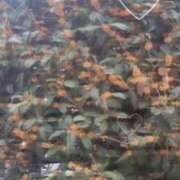 ヒメ日記 2025/10/21 10:16 投稿 しのん One More奥様　蒲田店