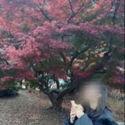 ヒメ日記 2025/11/27 20:54 投稿 しのん One More奥様　蒲田店