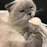 ヒメ日記 2025/12/13 04:04 投稿 しのん One More奥様　蒲田店