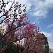 ヒメ日記 2026/01/19 14:14 投稿 しのん One More奥様　蒲田店