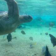 ヒメ日記 2026/01/22 18:34 投稿 しのん One More奥様　蒲田店