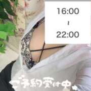 ヒメ日記 2026/02/10 12:47 投稿 しのん One More奥様　蒲田店