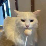 ヒメ日記 2026/03/02 02:44 投稿 しのん One More奥様　蒲田店