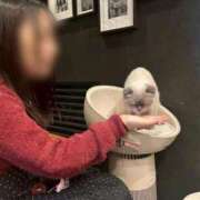 ヒメ日記 2026/03/09 16:15 投稿 しのん One More奥様　蒲田店