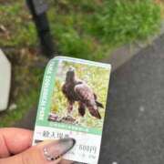 ヒメ日記 2026/03/20 14:14 投稿 しのん One More奥様　蒲田店