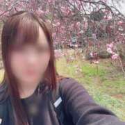 ヒメ日記 2026/03/29 13:51 投稿 しのん One More奥様　蒲田店