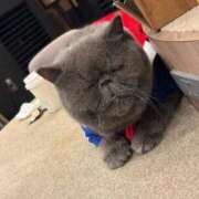 ヒメ日記 2026/04/06 03:21 投稿 しのん One More奥様　蒲田店