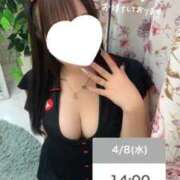 ヒメ日記 2026/04/08 00:11 投稿 しのん One More奥様　蒲田店