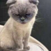 ヒメ日記 2026/04/14 03:11 投稿 しのん One More奥様　蒲田店