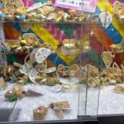 ヒメ日記 2026/07/06 13:41 投稿 しのん One More奥様　蒲田店