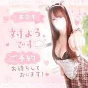 ヒメ日記 2026/08/10 12:36 投稿 しのん One More奥様　蒲田店