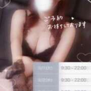 ヒメ日記 2026/09/01 00:18 投稿 しのん One More奥様　蒲田店