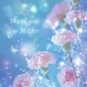 ヒメ日記 2025/05/11 16:38 投稿 かのん 川越おかあさん