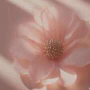 ヒメ日記 2025/05/13 16:28 投稿 かのん 川越おかあさん