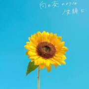 ヒメ日記 2025/07/02 15:28 投稿 かのん 川越おかあさん