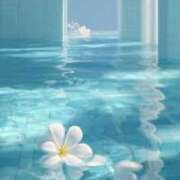 ヒメ日記 2025/08/07 17:18 投稿 かのん 川越おかあさん