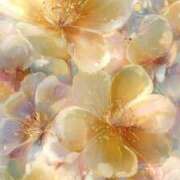 ヒメ日記 2025/11/15 15:19 投稿 かのん 川越おかあさん