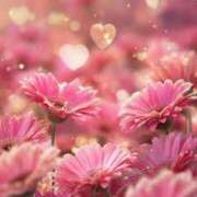 ヒメ日記 2025/11/22 15:17 投稿 かのん 川越おかあさん